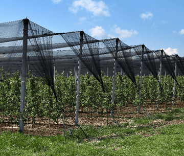 The Essential Role of Anti Hail Net